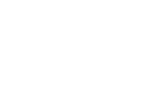 fixion fest
